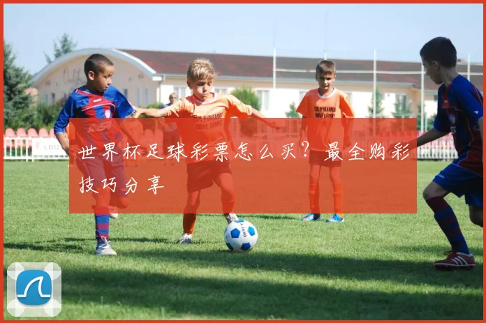 世界杯足球彩票怎么买？最全购彩技巧分享