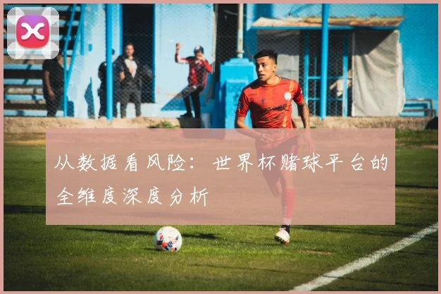 从数据看风险：世界杯赌球平台的全维度深度分析