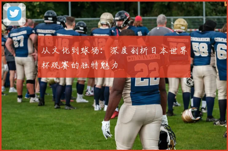 从文化到球场：深度剖析日本世界杯观赛的独特魅力